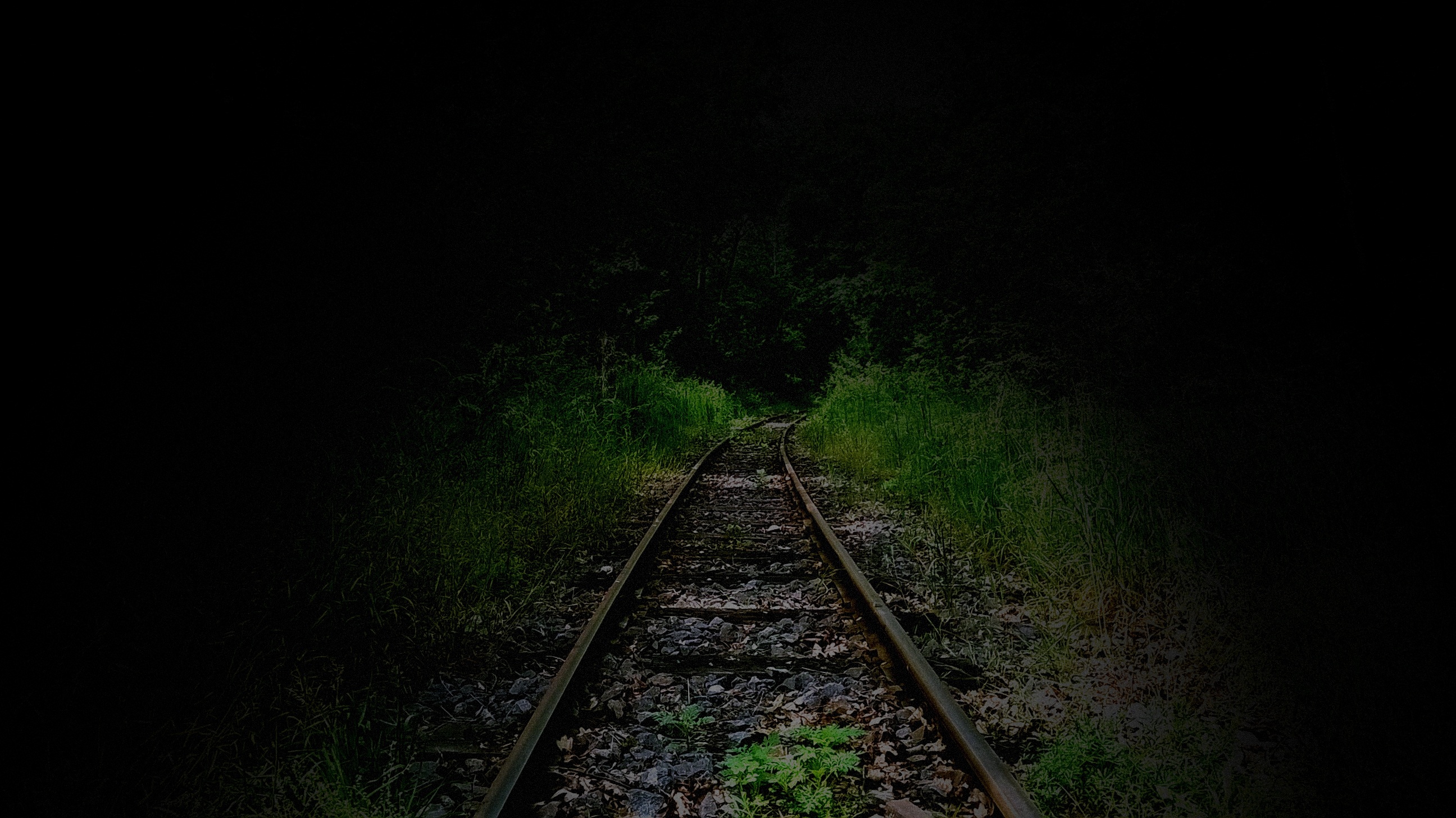 Dark Railway In The Forest Free Image Download