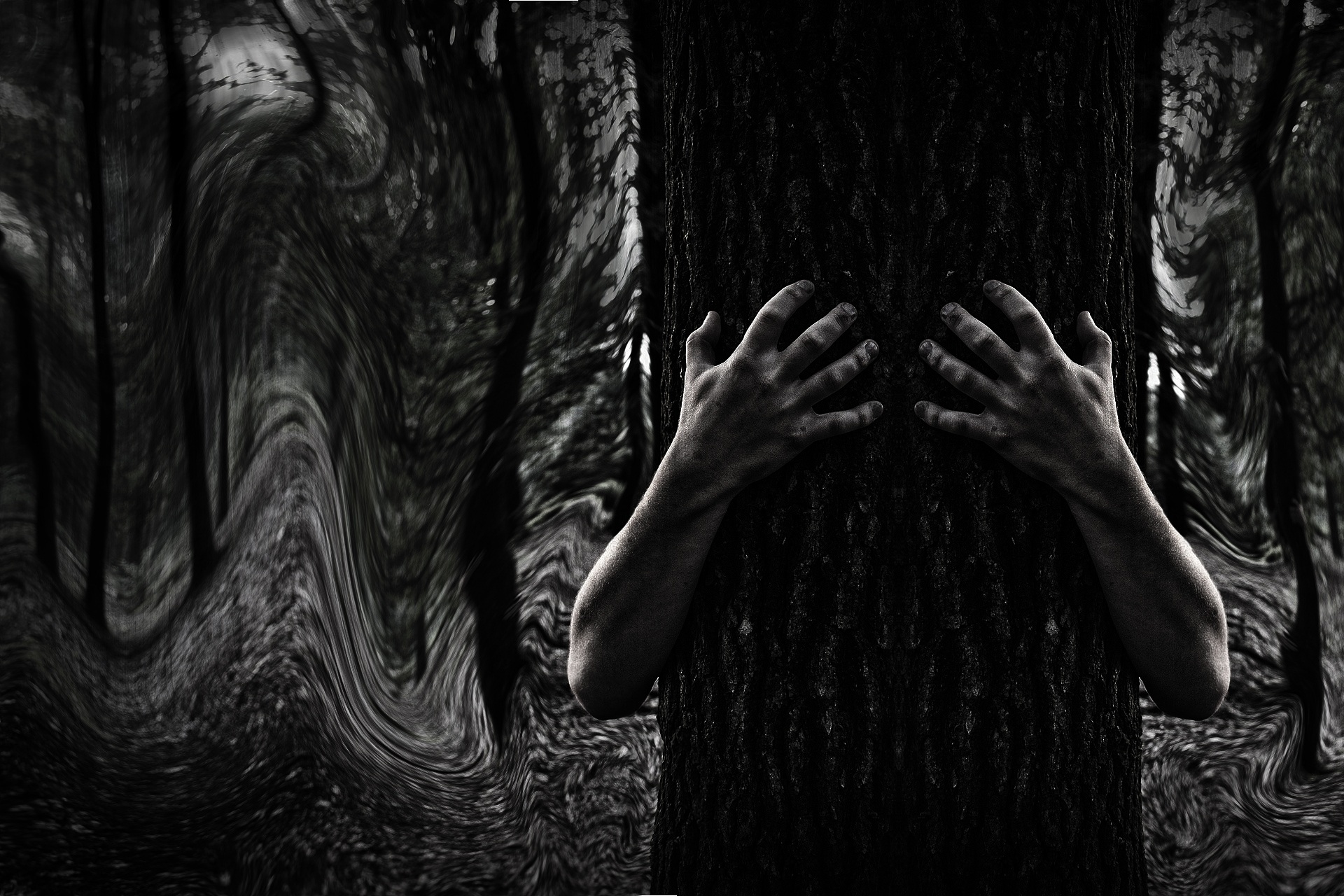 Неведом страх. Страх в лесу. Темный лес ужасы. Кричащий лес.
