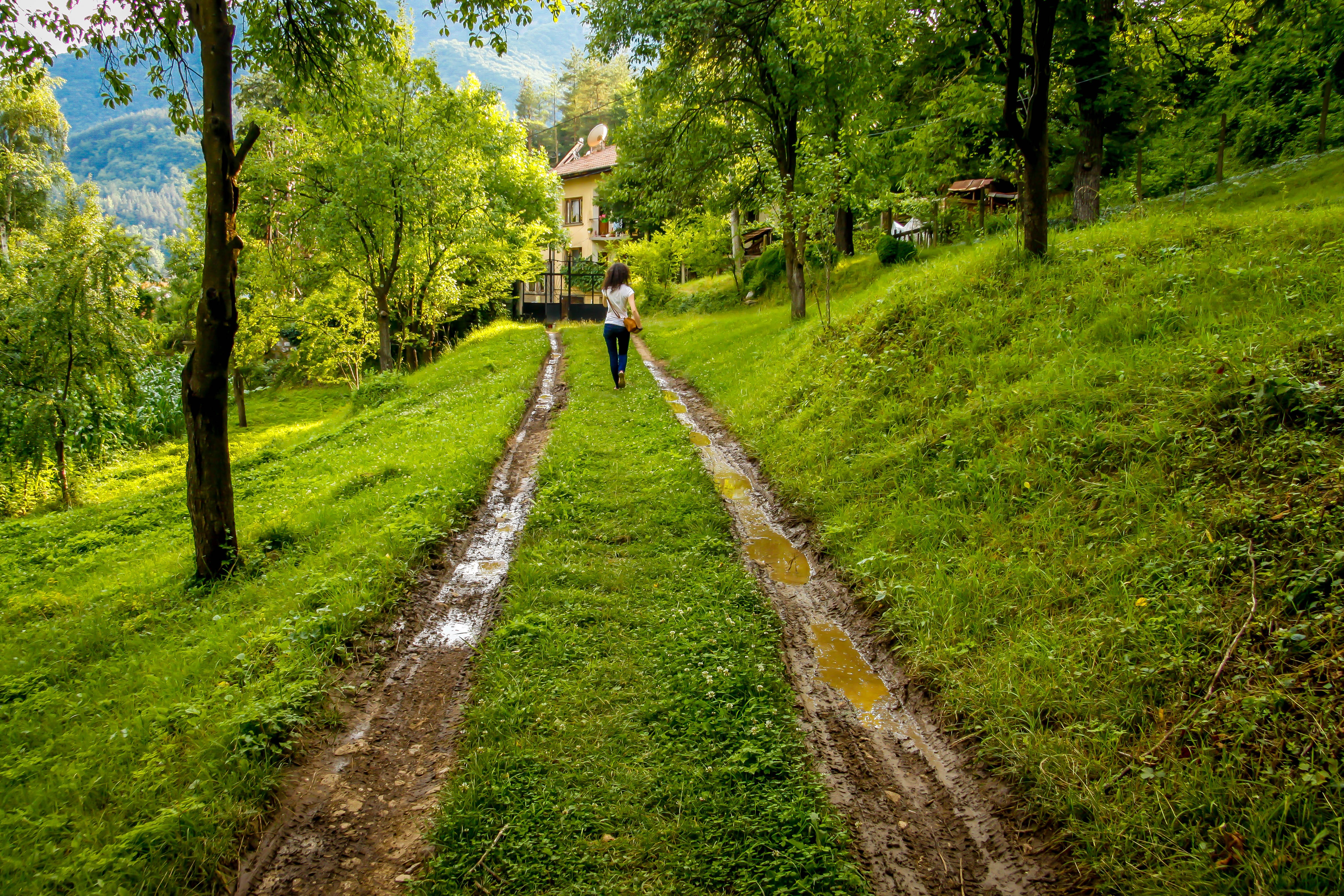 Countryside walks. Пешеходные дорожки в лесу. Дорожка природа. Тропинка в траве. Тропинка мостик в городе.