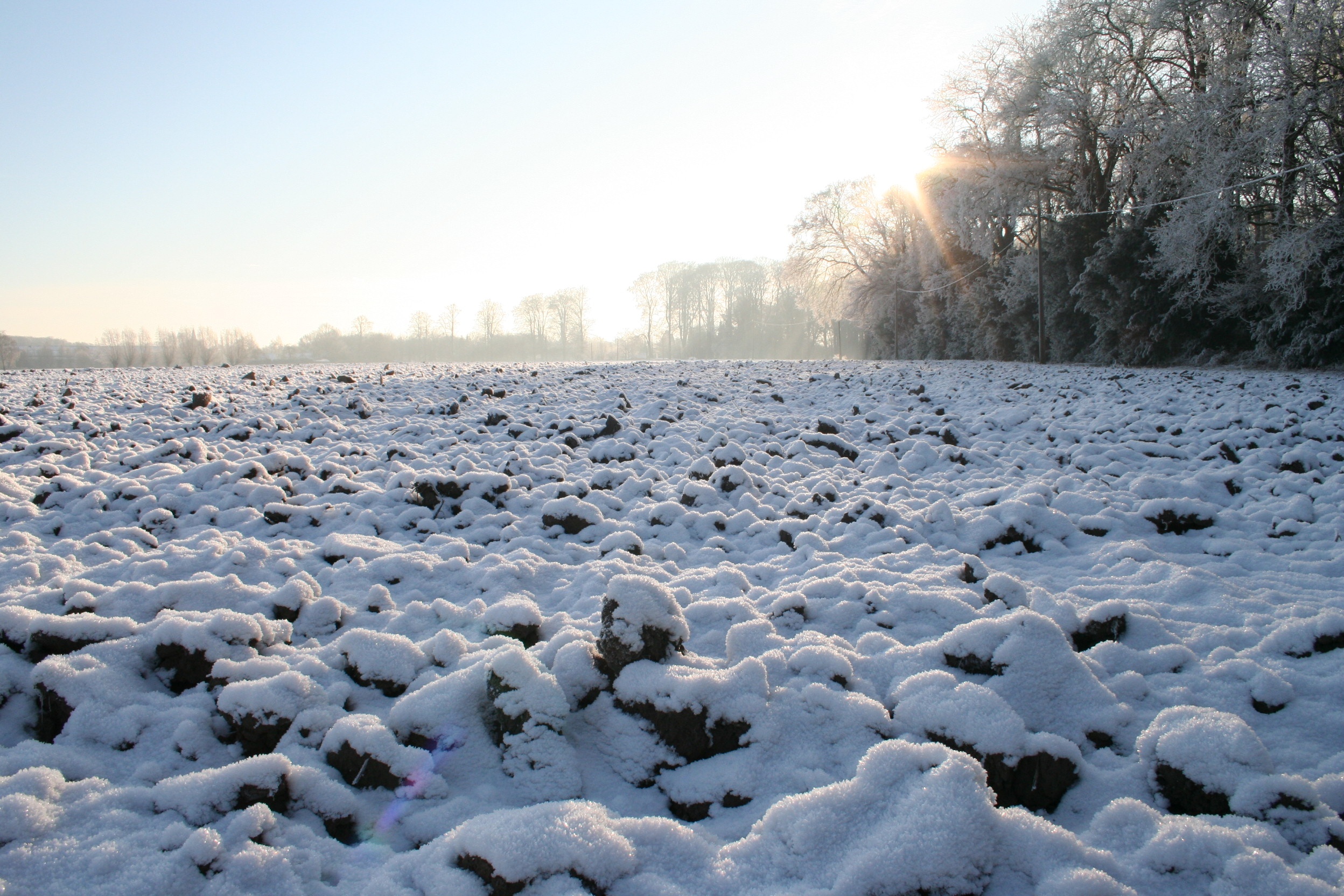 Snow on plowed field in Winter landscape free image download