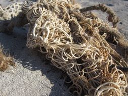 Network Fishing Net Beach Sand