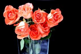 bouquet of bright roses in a glass vase