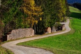 picturesque Forest Path in the autumn landscape