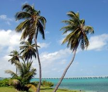 tropical Bahia Honda State Park in Florida