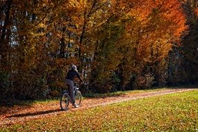 Riding human on a bike in a forest