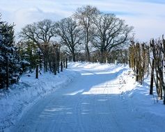 snowy wintry road