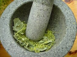 Mortar Frauenmantel plant