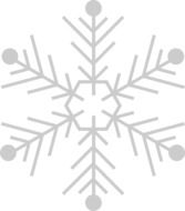 Picture of grey snowflake