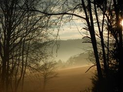 Sunrise Fog Morning