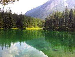 Forest reflection in the clear lake