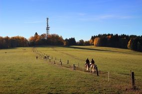 Picture of the Horses on a meadow