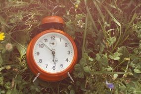 orange alarm clock in grass close up