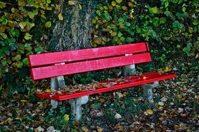 Red bench in the park in autumn