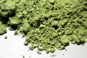 Green wheatgerm grass powder on the white surface