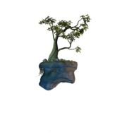 tree on an island on a white background
