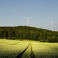 Pinwheel Forest Field