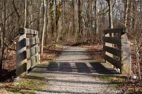 wooden boardwalk bridge in the forest