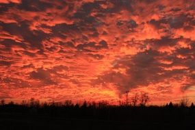 red twilight over nature