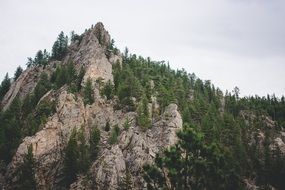 Peak of the mountain