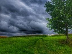 Tree Clouds Sky Landscape Green