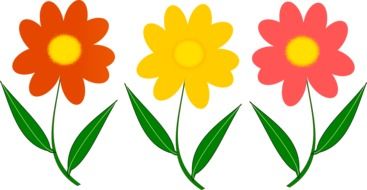 painted three colorful flowers