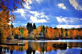 colorful trees near the lake in autumn