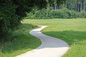 hiking trail in the forest