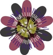 Colorful flower blossoms clipart