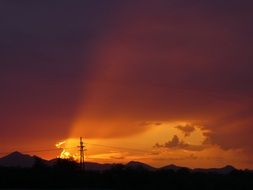 landscape of desert during sunset in arizona