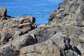 Rocks on a Indian Ocean beach