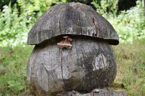 wooden mushroom decoration on green grass