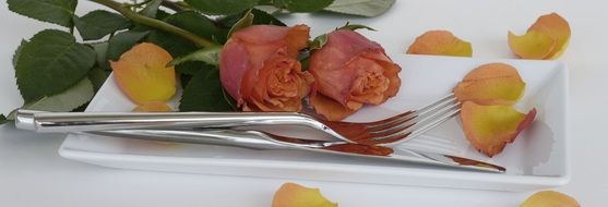 roses on the plate for mother's day