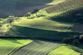 black and green fields on hills, scenic countryside at Autumn