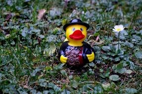 Rubber duck statue in a garden