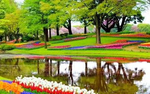 colourful Garden Flowers near Lake scene