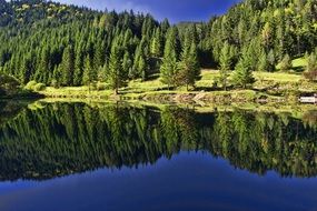 Beautiful landscape with the forest and water in Slovakia