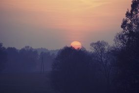 Big red Sun over the forest