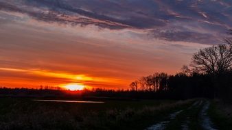 colorful sky at Sunrise above bare forest