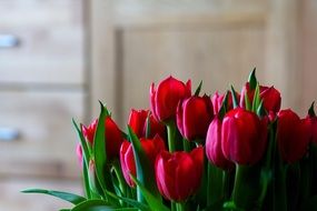 bouquet of red tulips in the house