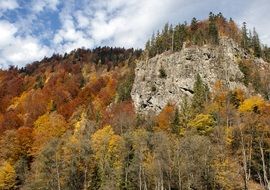 mountains in the autumn forest in romania