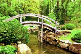 Bridge over pond in Japanese garden