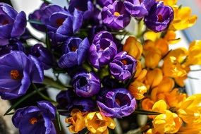 absolutely gorgeous Flowers