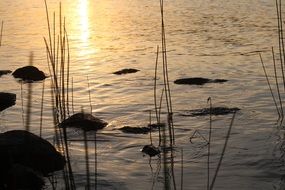 calm lake in Sweden