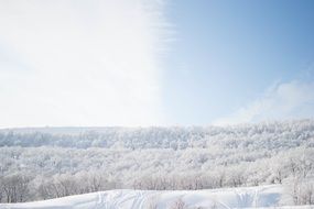 white snow on a hilly meadow