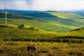 Landscape of horse and windmill in the countryside in China