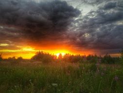 fiery sky during sunset behind the trees