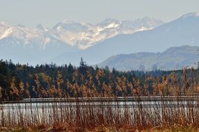 dry grass near the lake near the picturesque mountains