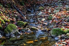 clear brook on dark pebble bed at fall