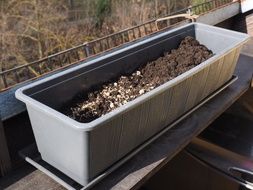 flower pot with earth and seeds