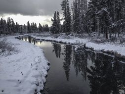 scenic creek in winter time, yellowstone national park, wyoming